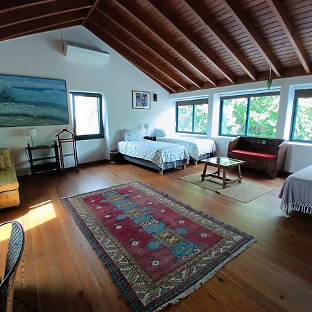 Casa Dos Santos Historic Azorean Estate Apartment